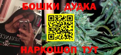 jwh Будённовск