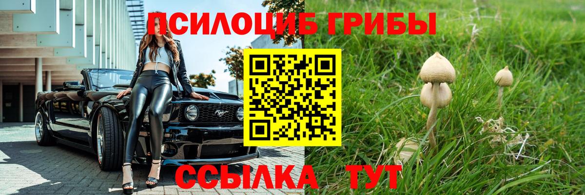 Сосновоборск  Галлюциногенные грибы GOLDEN TEACHER  Вход с VPN 