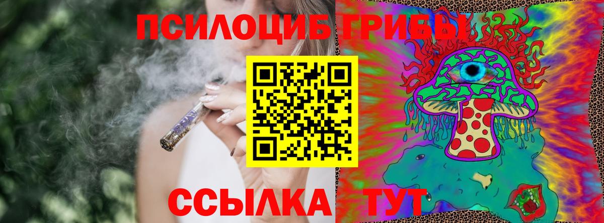 Галлюциногенные грибы Cubensis Сосновоборск